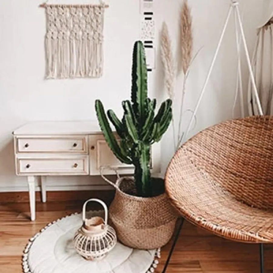 Productos de deco en Ofelia
